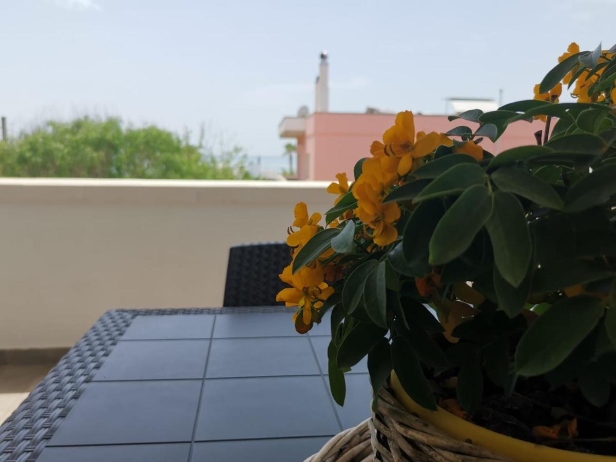 Casa Tramonto Vista Mare Apartment มารินาดิเปสโคลูเซ ภายนอก รูปภาพ